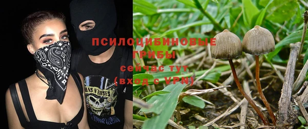 СК Абинск