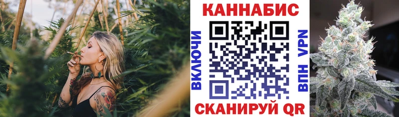 Канабис планчик  где купить наркотик  Райчихинск 